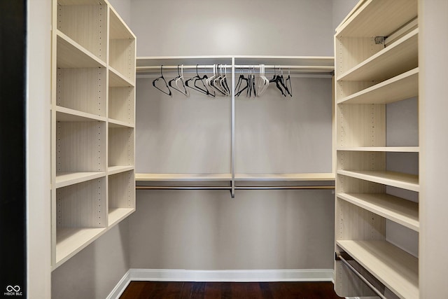 spacious closet featuring dark wood-type flooring