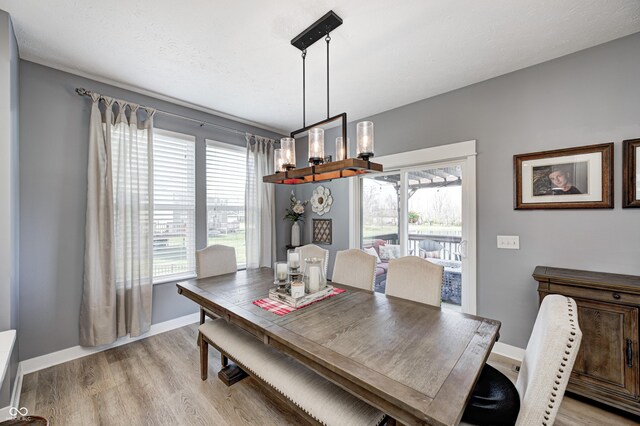 4644 Shelby Cir, Greenwood, IN 46143 - dining room featuring a wealth of natural light, light wood-type flooring, and baseboards