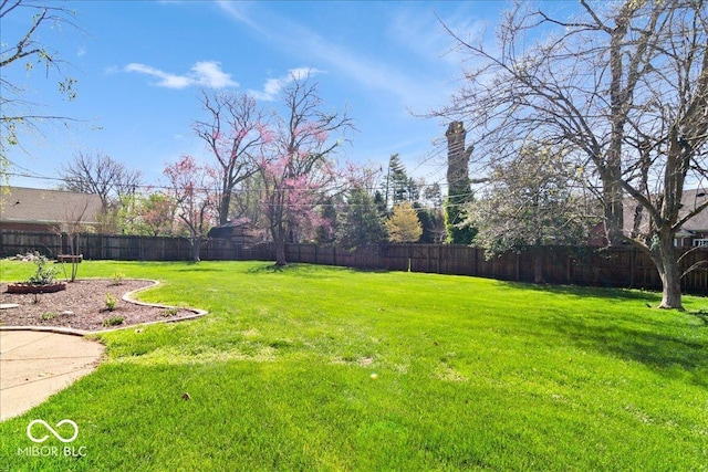 view of yard featuring a fenced backyard