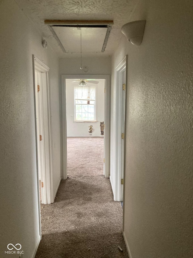601 E Thompson St, Edinburgh, IN 46124 - hallway with attic access, carpet, and a textured wall