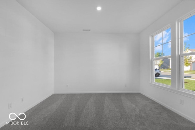 1117 Stubble Run, Danville, IN 46122 - unfurnished room featuring plenty of natural light, dark colored carpet, and recessed lighting