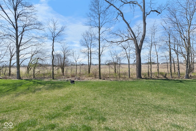 7210 Covington St, Lebanon, IN 46052 - view of yard