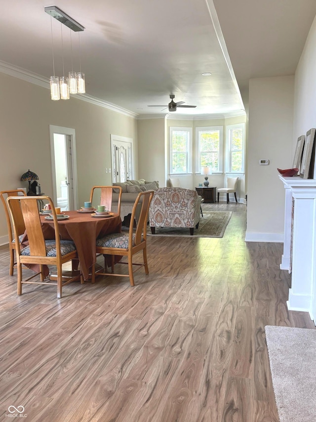 359 N Jefferson St, Martinsville, IN 46151 - dining area with wood finished floors, ornamental molding, a ceiling fan, and baseboards
