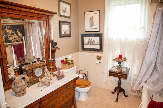313 E Wabash Ave, Crawfordsville, IN 47933 - bathroom with toilet, a decorative wall, vanity, and a wainscoted wall