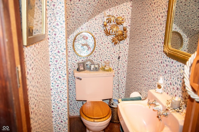 313 E Wabash Ave, Crawfordsville, IN 47933 - half bath featuring a sink, wallpapered walls, and toilet