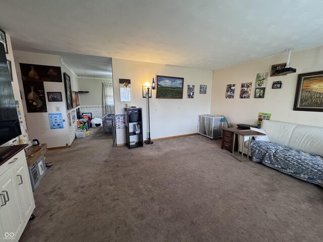 1121 Mill St, Crawfordsville, IN 47933 - photo 7