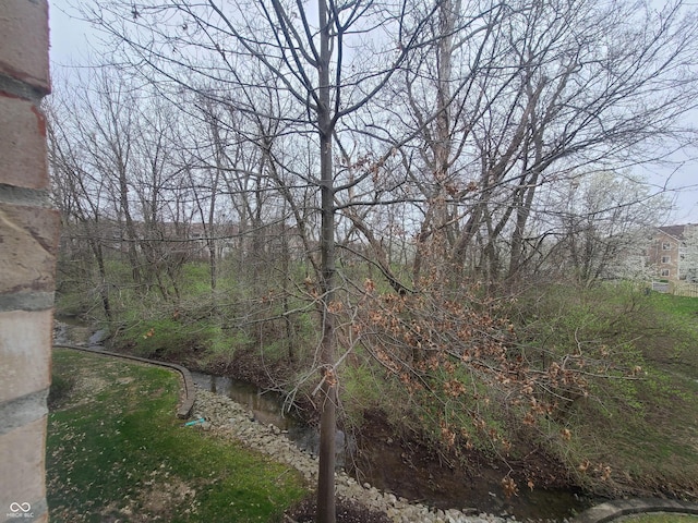 6525 Emerald Hill Ct Unit 208, Indianapolis, IN 46237 - view of nature