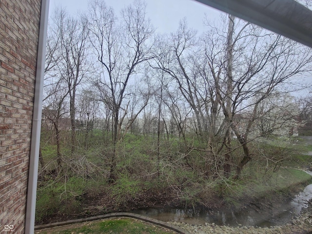 6525 Emerald Hill Ct Unit 208, Indianapolis, IN 46237 - view of yard