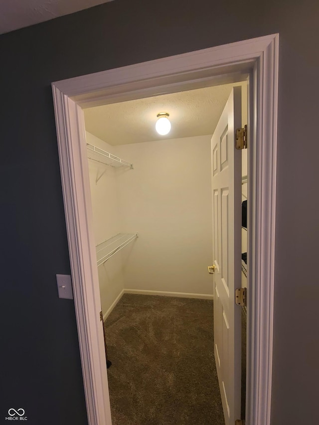 6525 Emerald Hill Ct Unit 208, Indianapolis, IN 46237 - spacious closet with carpet