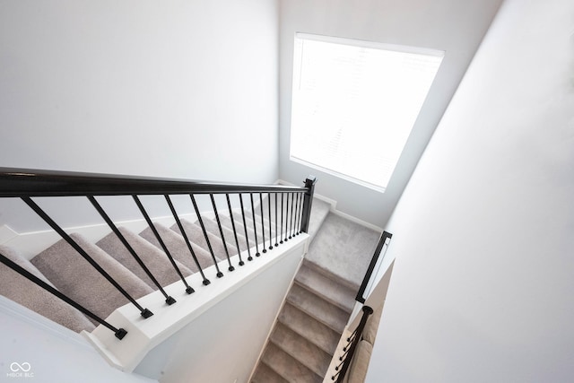 1534 Cloverdon Dr, Westfield, IN 46074 - stairway with carpet and baseboards