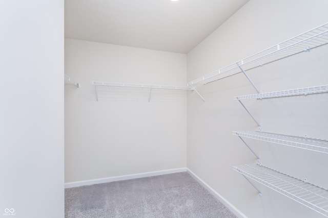 2741 Penn Ave, Plainfield, IN 46168 - walk in closet with carpet