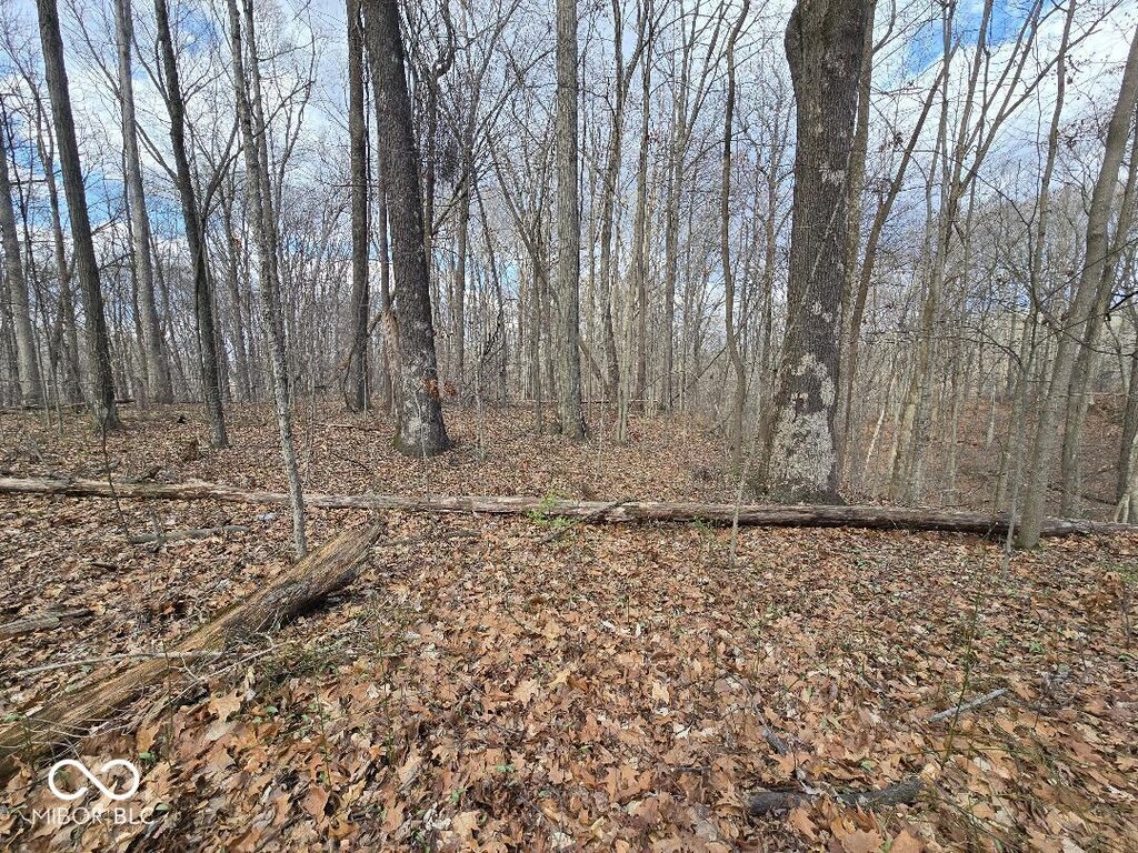 10886 Private Road 570 W, Poland, IN 47868