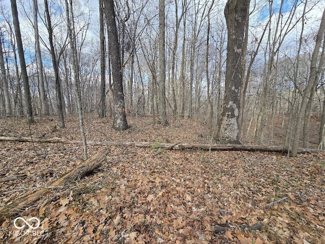 10886 Private Road 570 W, Poland, IN 47868