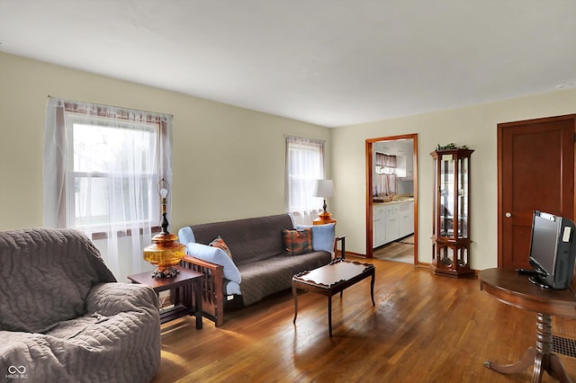 living room featuring dark wood-style floors