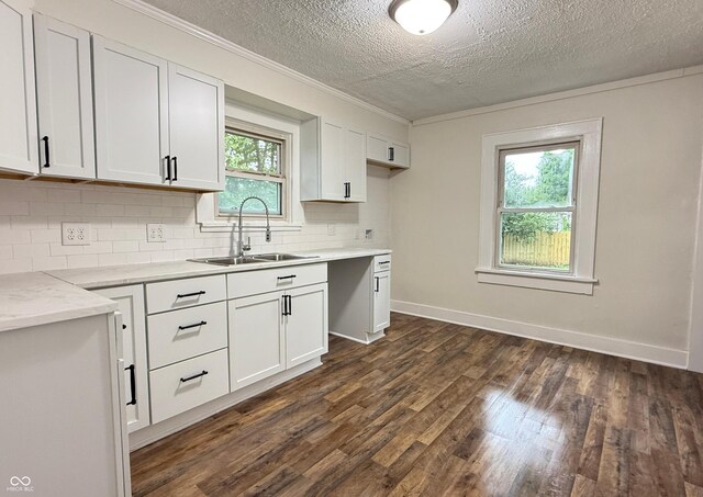 1032 Groff Ave, Indianapolis, IN 46222 - kitchen with a sink, a textured ceiling, backsplash, ornamental molding, and dark wood-style flooring