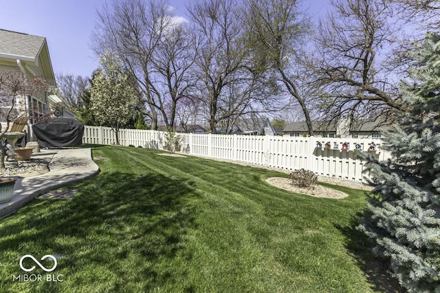 view of yard with a fenced backyard and a patio area