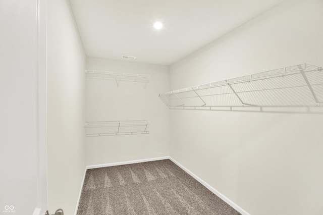 3727 Thomas Jefferson Ct, Westfield, IN 46074 - walk in closet with carpet floors