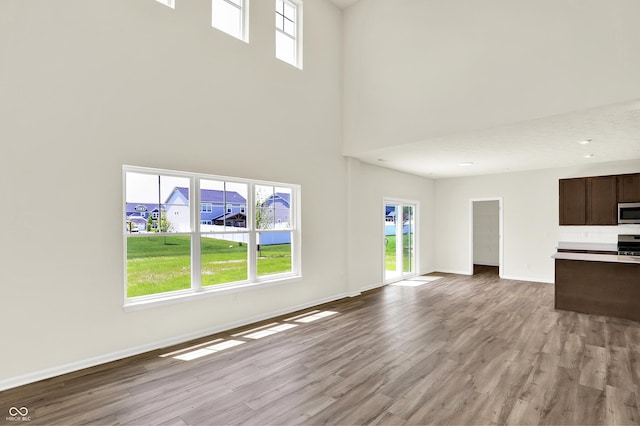 3727 Thomas Jefferson Ct, Westfield, IN 46074 - unfurnished living room featuring wood finished floors, healthy amount of natural light, a high ceiling, and baseboards