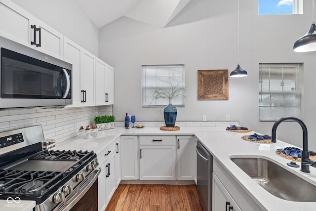 kitchen featuring a sink, plenty of natural light, lofted ceiling, and stainless steel appliances