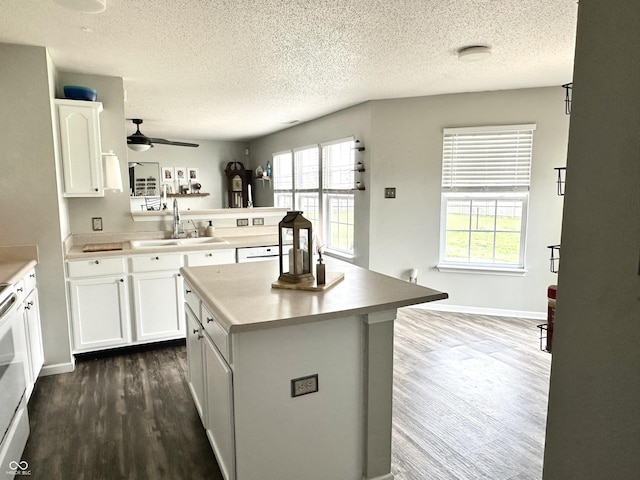 9873 Blue Ridge Way, Indianapolis, IN 46234 - kitchen featuring a sink, dark wood finished floors, ceiling fan, healthy amount of natural light, and a textured ceiling