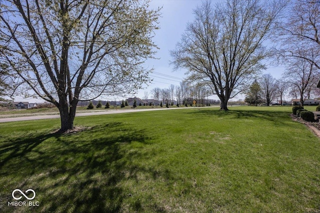 19702 Tomlinson Rd, Westfield, IN 46074 - view of yard