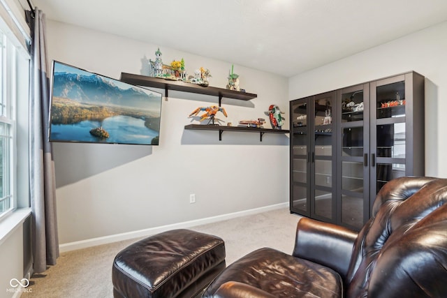 living area featuring carpet floors and baseboards