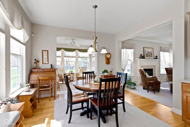 dining space with a ceiling fan, light wood finished floors, and a fireplace