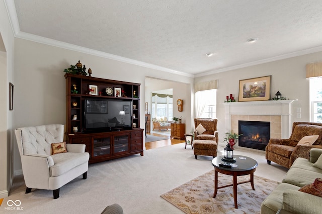 living area featuring a wealth of natural light, crown molding, and carpet
