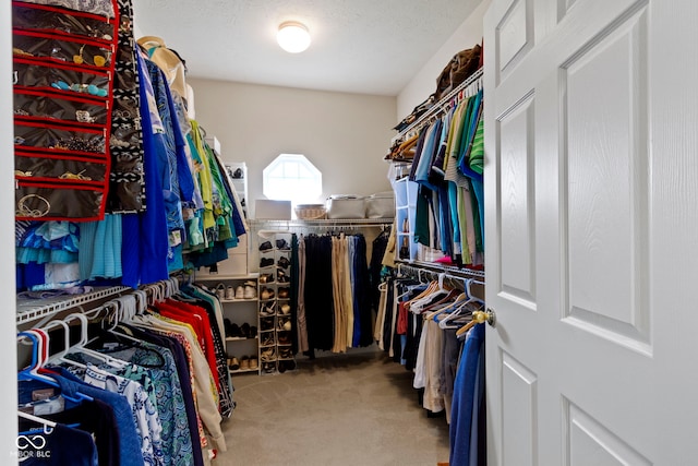 walk in closet with carpet floors