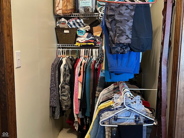 view of spacious closet