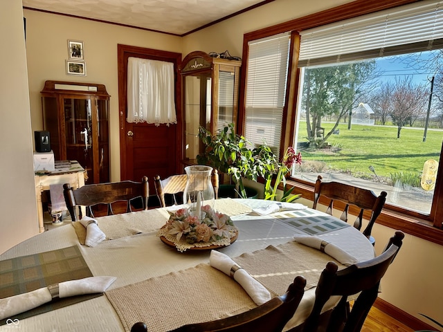 dining room with crown molding and wood finished floors