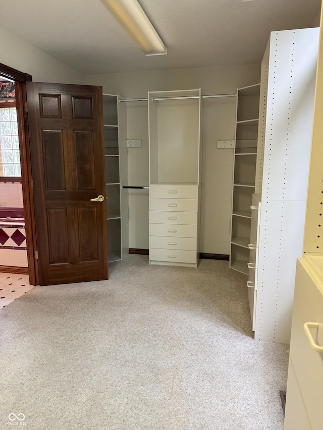 spacious closet featuring carpet flooring