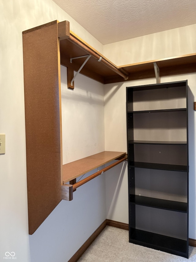walk in closet with light colored carpet