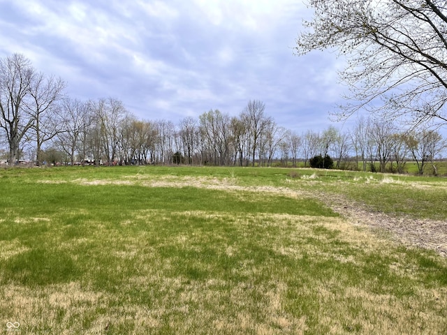 view of yard with a rural view