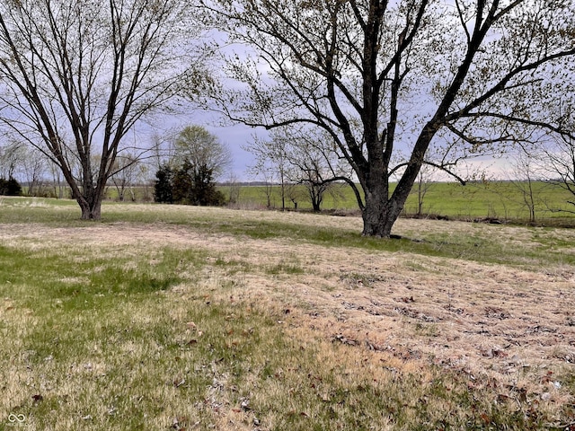 view of yard with a rural view