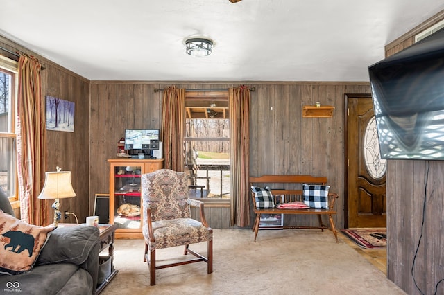 8847 E Northshore Dr, Unionville, IN 47468 - living area featuring wood walls, light carpet, and a healthy amount of sunlight