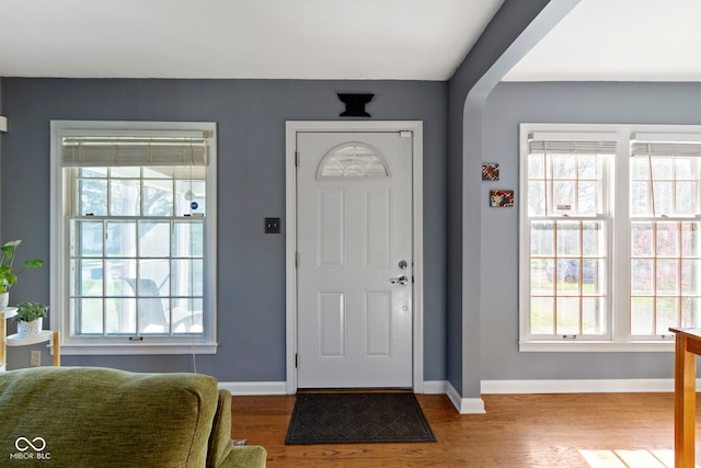 foyer entrance featuring wood finished floors, baseboards, and plenty of natural light