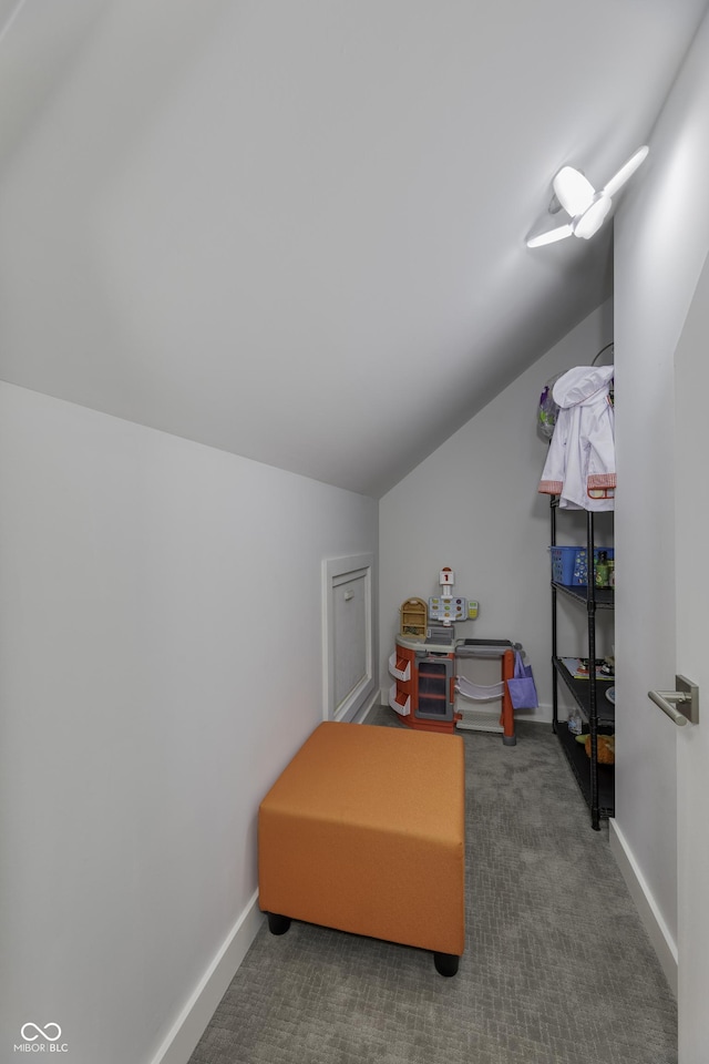 interior space with baseboards, carpet, and vaulted ceiling
