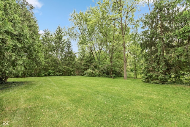 8535 Washington Blvd, Indianapolis, IN 46240 - photo 55