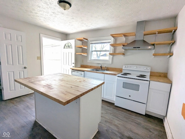 408 E Beecher St, Indianapolis, IN 46225 - kitchen featuring wooden counters, white range with electric stovetop, open shelves, wall chimney exhaust hood, and a sink