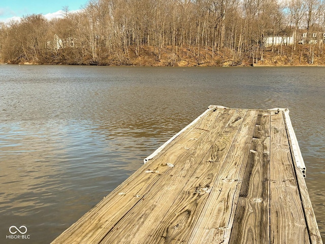 1060 Cape Coral Dr, Cicero, IN 46034 - view of dock with a water view