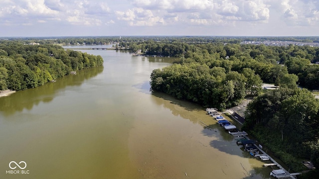 1060 Cape Coral Dr, Cicero, IN 46034 - aerial view featuring a water view and a wooded view