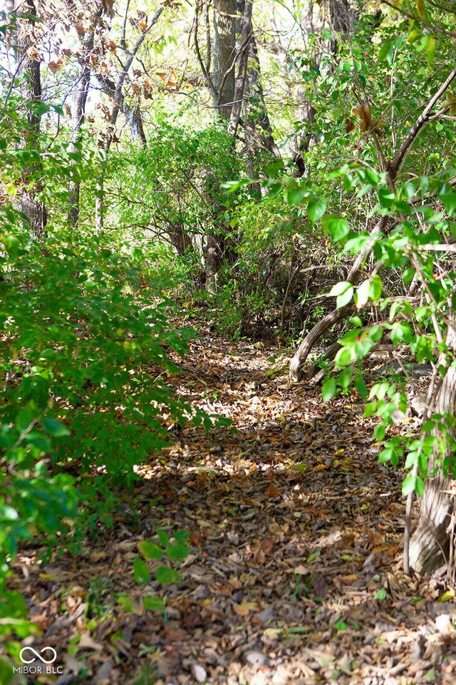 1060 Cape Coral Dr, Cicero, IN 46034 - view of local wilderness