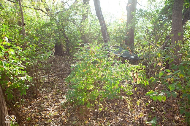 1060 Cape Coral Dr, Cicero, IN 46034 - view of landscape with a wooded view