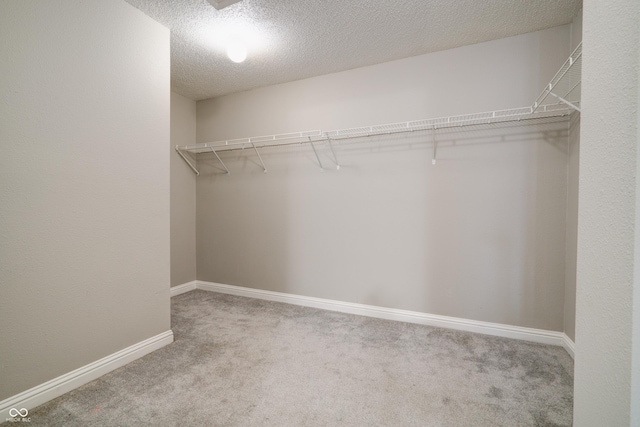 10597 Cyrus Dr, Indianapolis, IN 46231 - walk in closet featuring carpet flooring