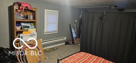 bedroom with carpet floors