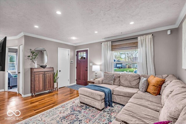2204 Pamela Dr, Indianapolis, IN 46220 - living room with wood finished floors, a textured ceiling, recessed lighting, and crown molding