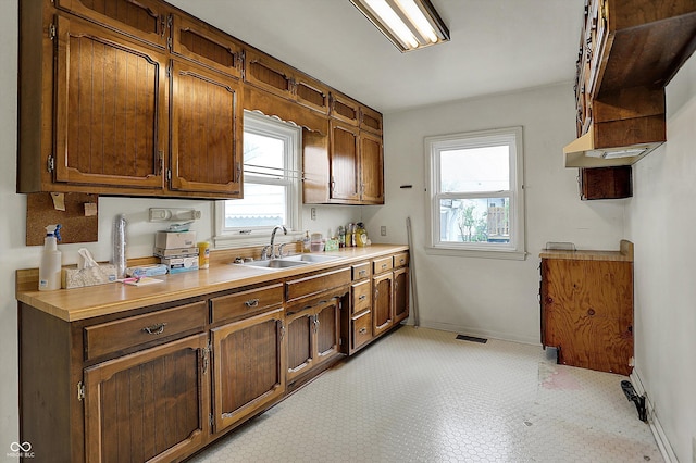 1194 S Faculty Dr, Indianapolis, IN 46241 - kitchen featuring a sink, visible vents, light countertops, and baseboards