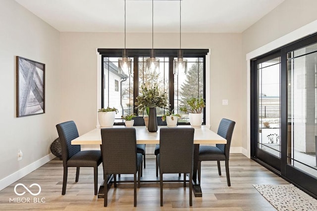 dining room featuring baseboards and light wood finished floors