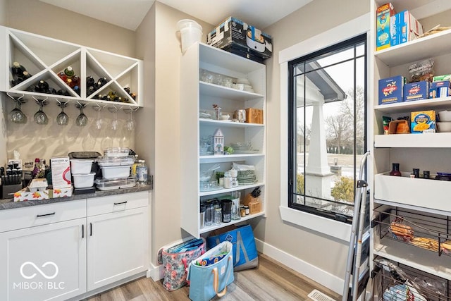 pantry featuring visible vents